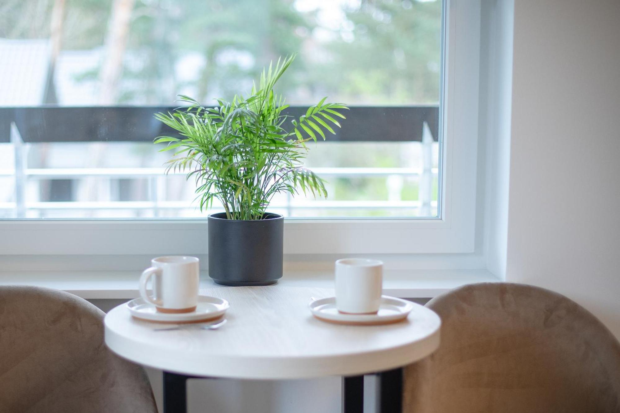 Apartamenty Przy Plazy Z Basenem Z Podgrzewana Woda I Mini Spa - Osrodek Kolonijno-Wczasowy Mewa Niechorze Buitenkant foto